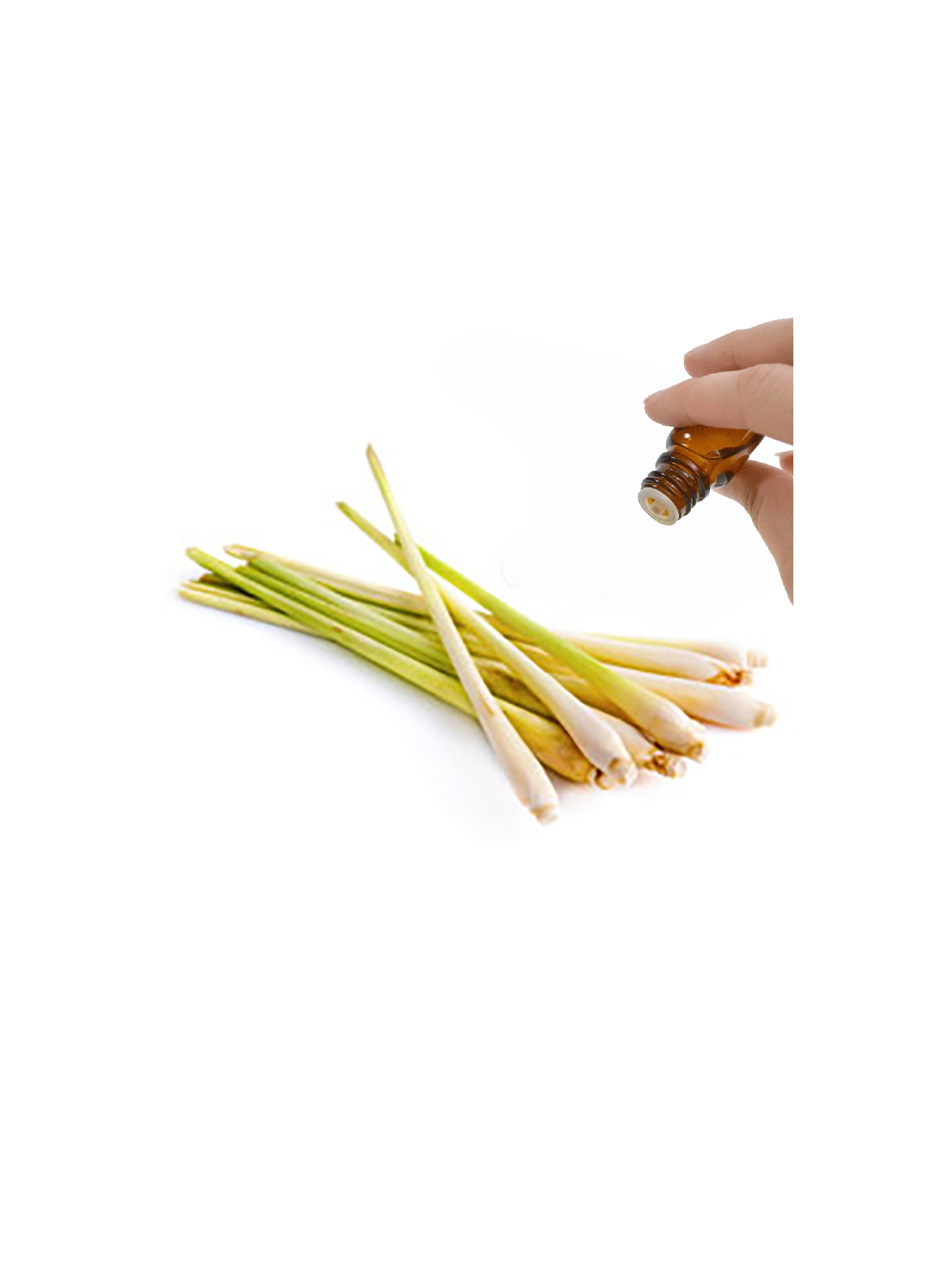 Lemongrass Essential Oil