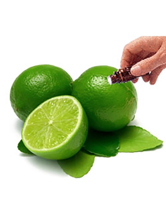 Lime Essential Oil