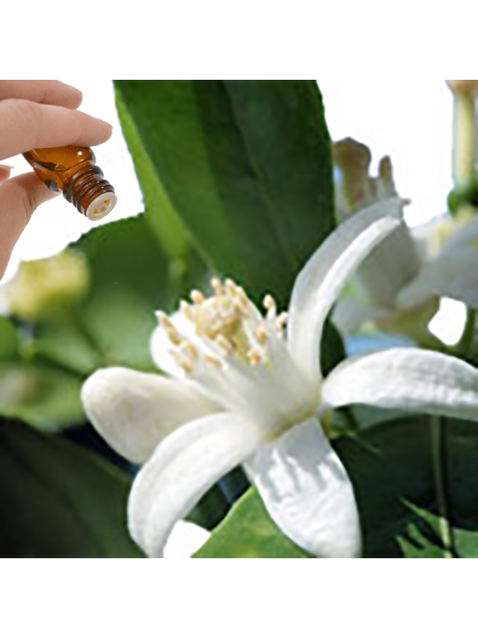 Neroli Essential Oil