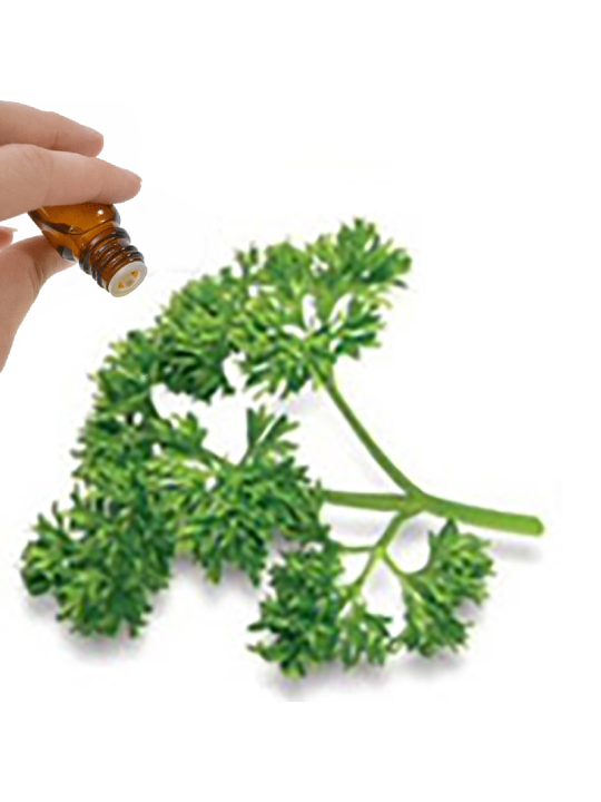 Parsley Seed Essential Oil