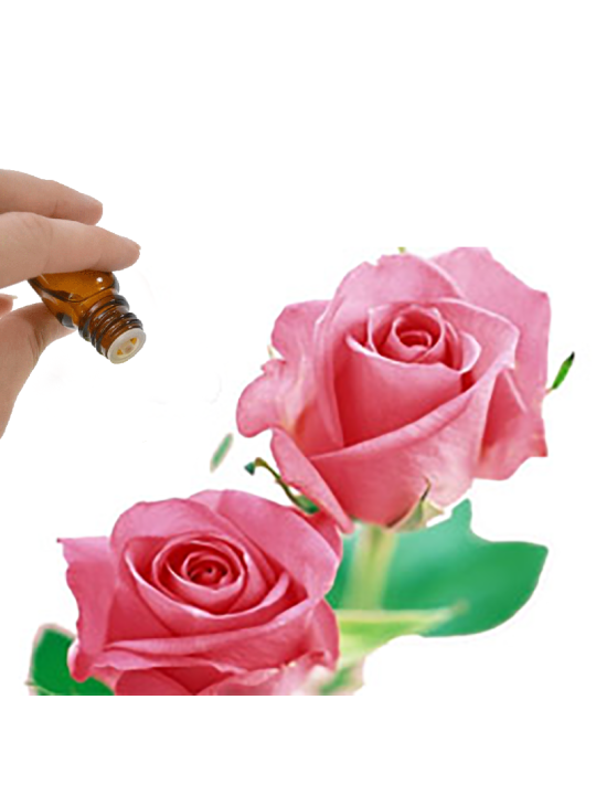 Rose Otto Essential Oil