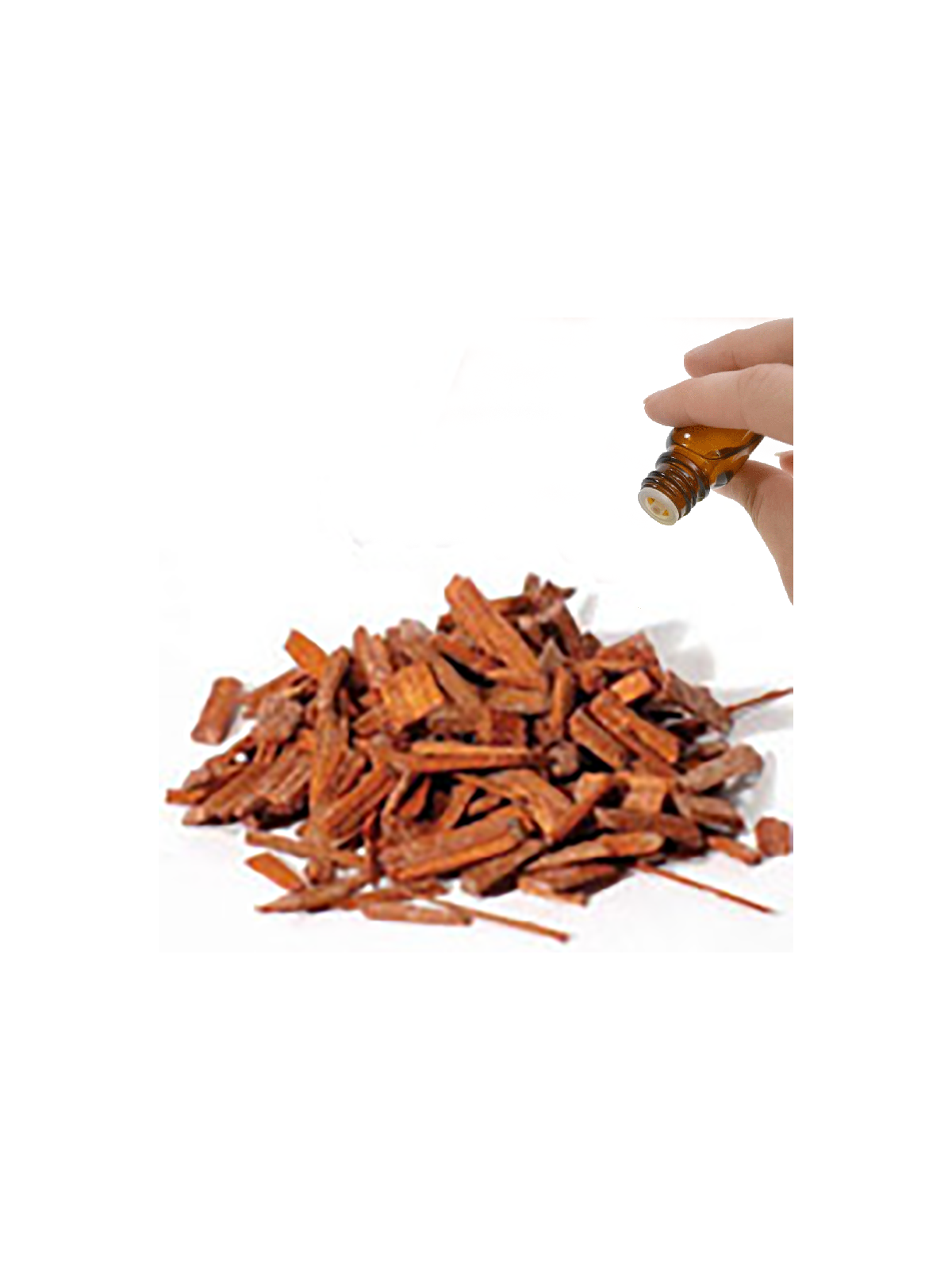 Sandalwood Essential Oil