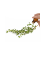 Thyme (Linalol)  Essential Oil