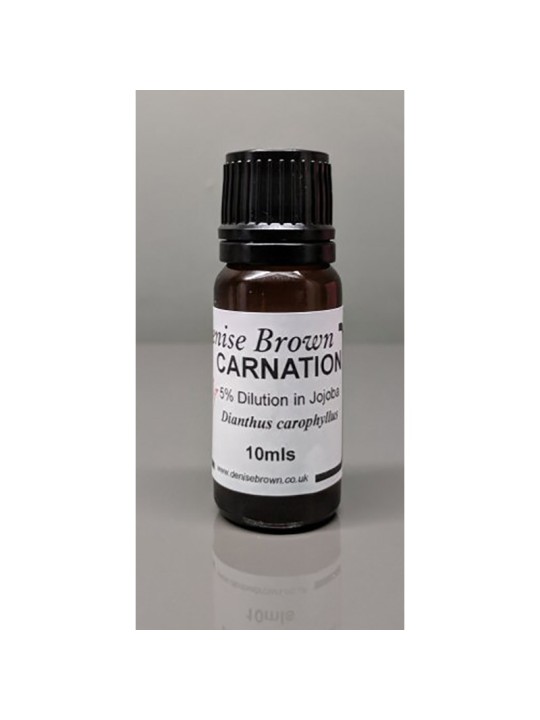 Carnation Absolute Dilution Essential Oil