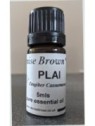 Plai (Zingiber cassumunar) Essential Oil | Denise Brown