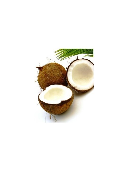 Coconut Oil (Fractionated)