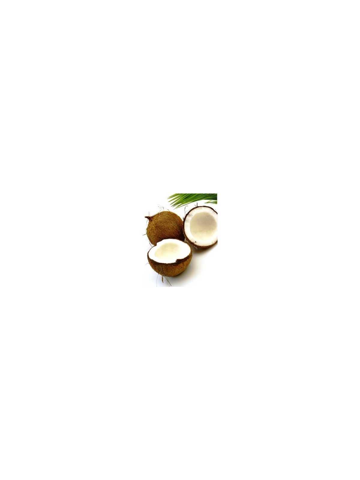 Coconut Oil (Fractionated)