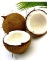 Coconut Oil (Fractionated)