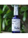 Archangel Gabriel Spray (50mls)