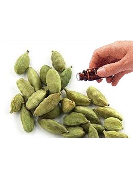 Cardamom Seed essential oil