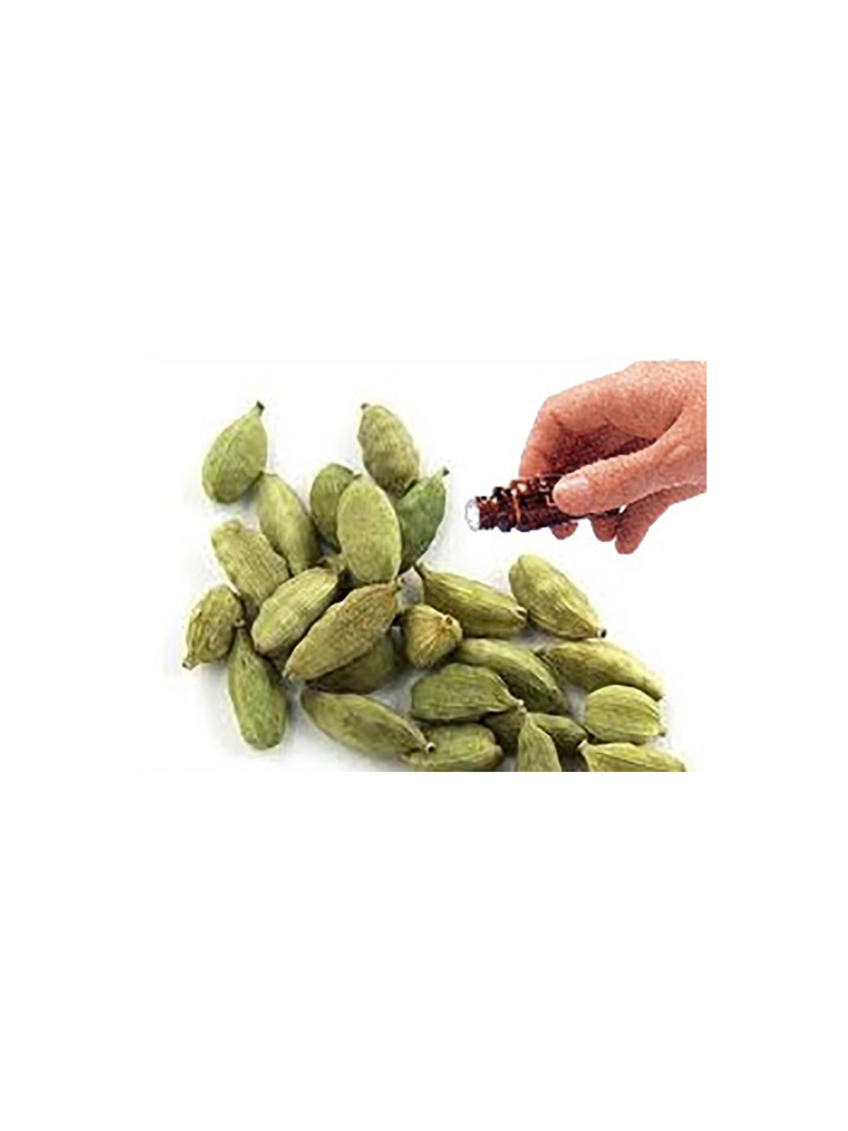 Cardamom Seed essential oil