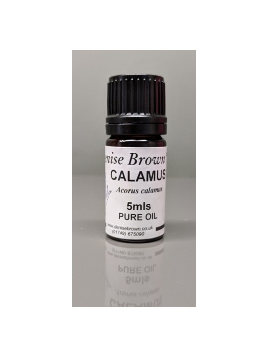 Calamus Essential Oil