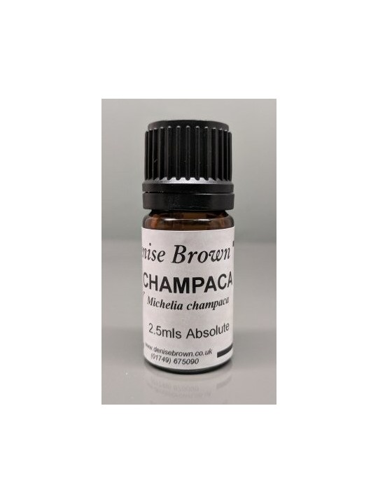 Champaca Absolute Essential Oil