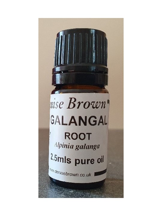 Galangal Root Essential Oil