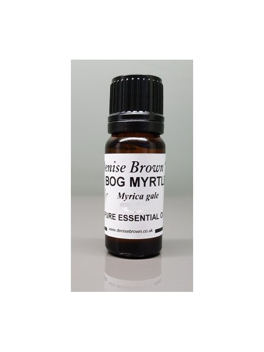 Bog Myrtle Essential Oil