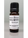 Bog Myrtle Essential Oil