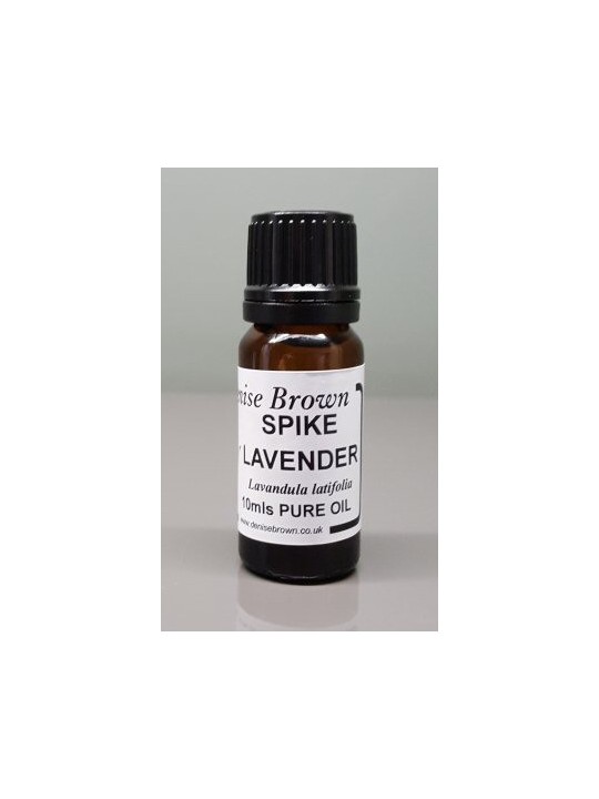 Spike Lavender (Lavandula latifolia )  Essential Oil | Denise Brown