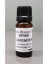 Spike Lavender (Lavandula latifolia )  Essential Oil | Denise Brown