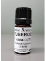 Tuberose Absolute Essential Oil