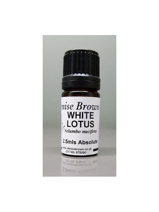 White Lotus Absolute Essential Oil