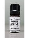 White Lotus Absolute Essential Oil