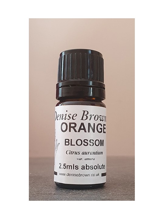 Orange Blossom Absolute Essential Oil