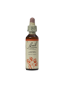 ASPEN 20ML ORIGINAL BACH FLOWER REMEDY