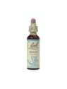 BEECH 20ML ORIGINAL BACH FLOWER REMEDY