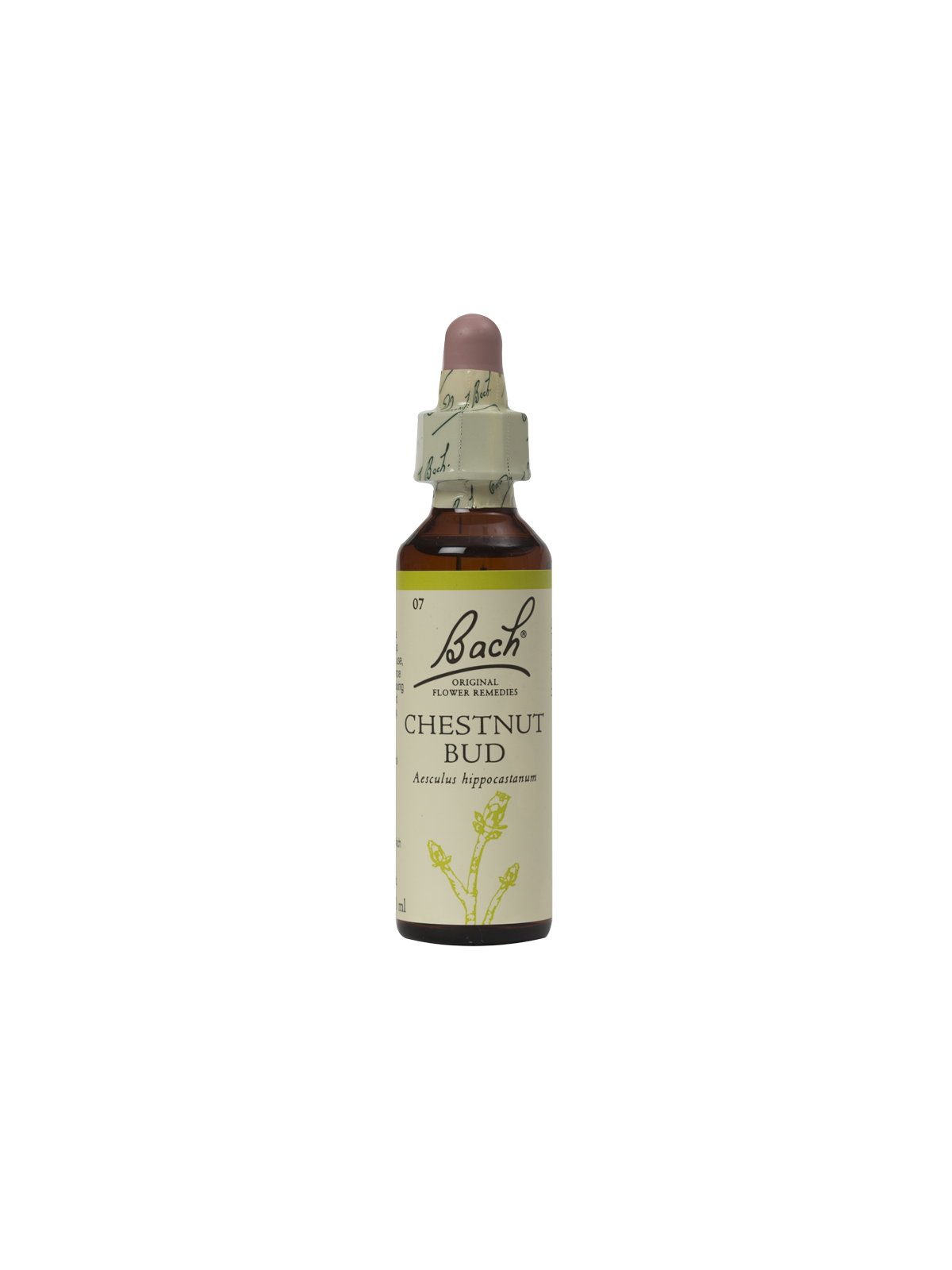 CHESTNUT BUD 20ML ORIGINAL BACH FLOWER REMEDY