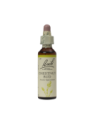 CHESTNUT BUD 20ML ORIGINAL BACH FLOWER REMEDY