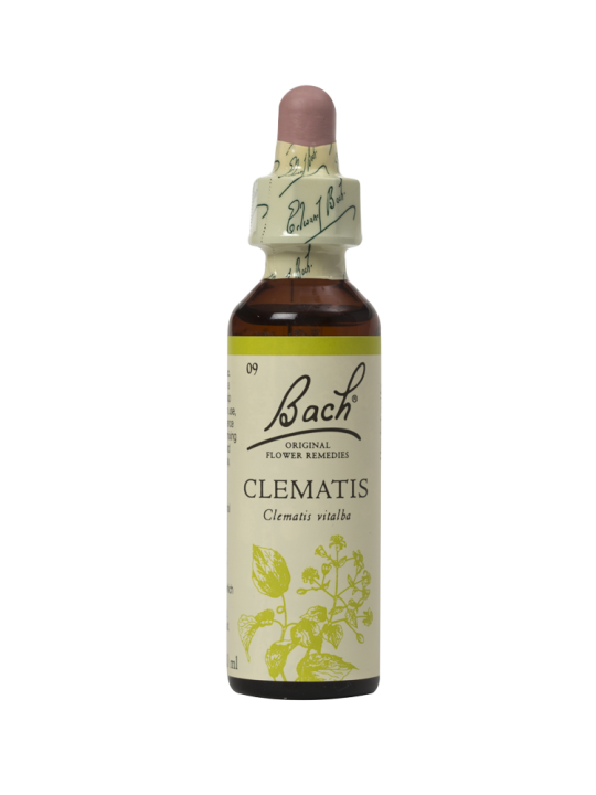 CLEMATIS 20ML ORIGINAL BACH FLOWER REMEDY