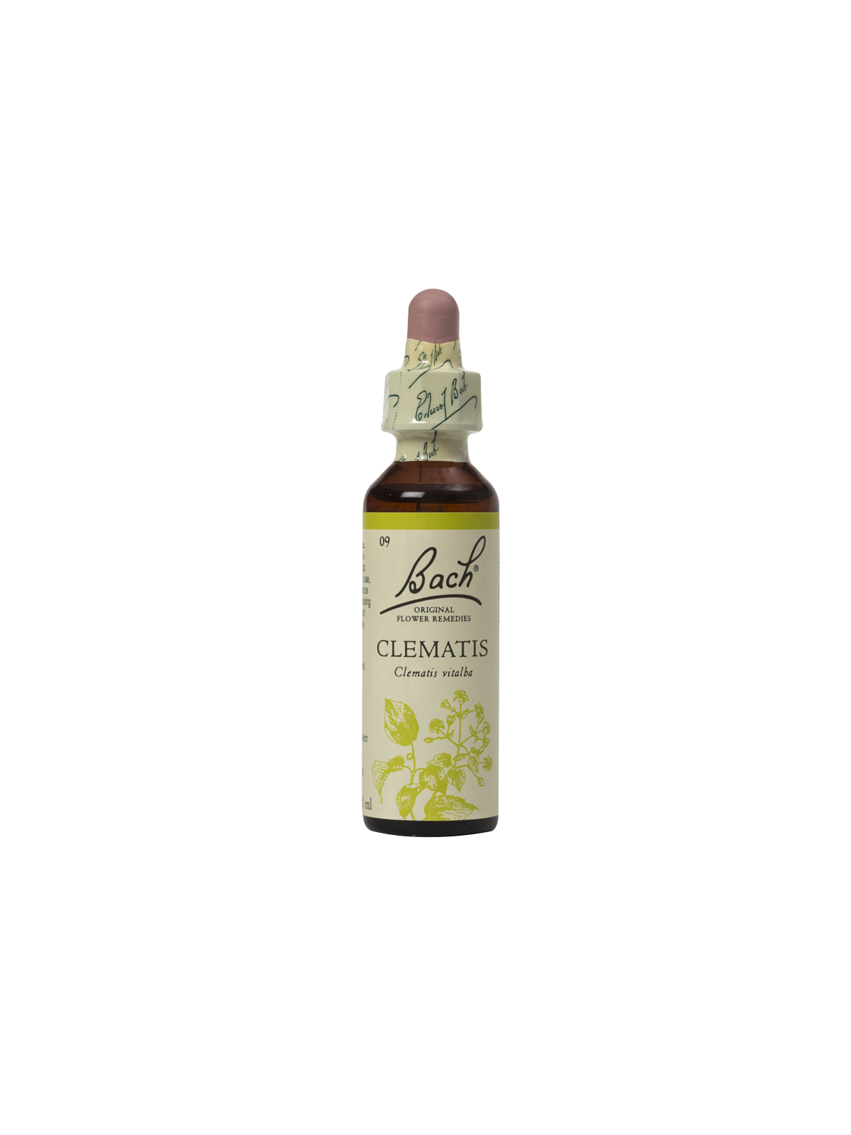 CLEMATIS 20ML ORIGINAL BACH FLOWER REMEDY