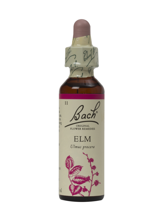 ELM 20ML ORIGINAL BACH FLOWER REMEDY