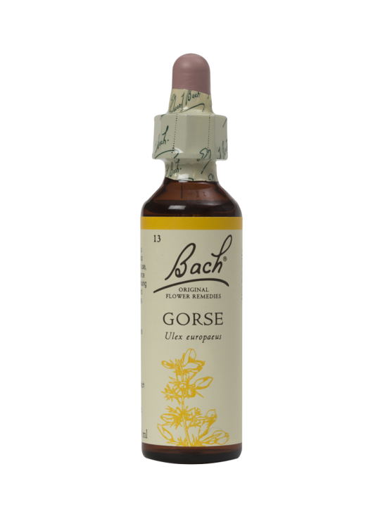 GORSE 20ML ORIGINAL BACH FLOWER REMEDY