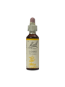 GORSE 20ML ORIGINAL BACH FLOWER REMEDY