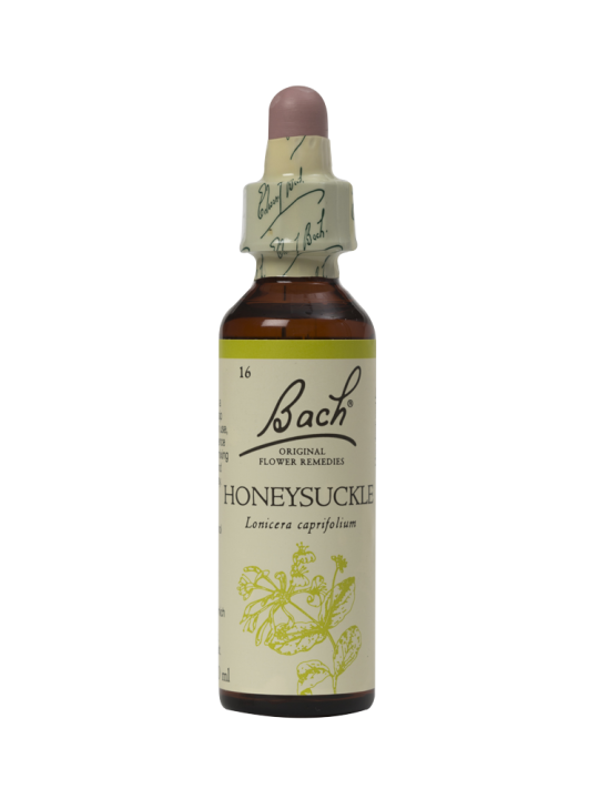 HONEYSUCKLE 20ML ORIGINAL BACH FLOWER REMEDY