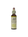 HONEYSUCKLE 20ML ORIGINAL BACH FLOWER REMEDY