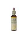 HORNBEAM 20ML ORIGINAL BACH FLOWER REMEDY