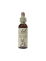 IMPATIENS 20ML ORIGINAL BACH FLOWER REMEDY