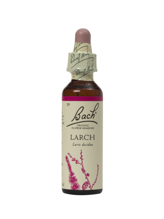 LARCH 20ML ORIGINAL BACH FLOWER REMEDY