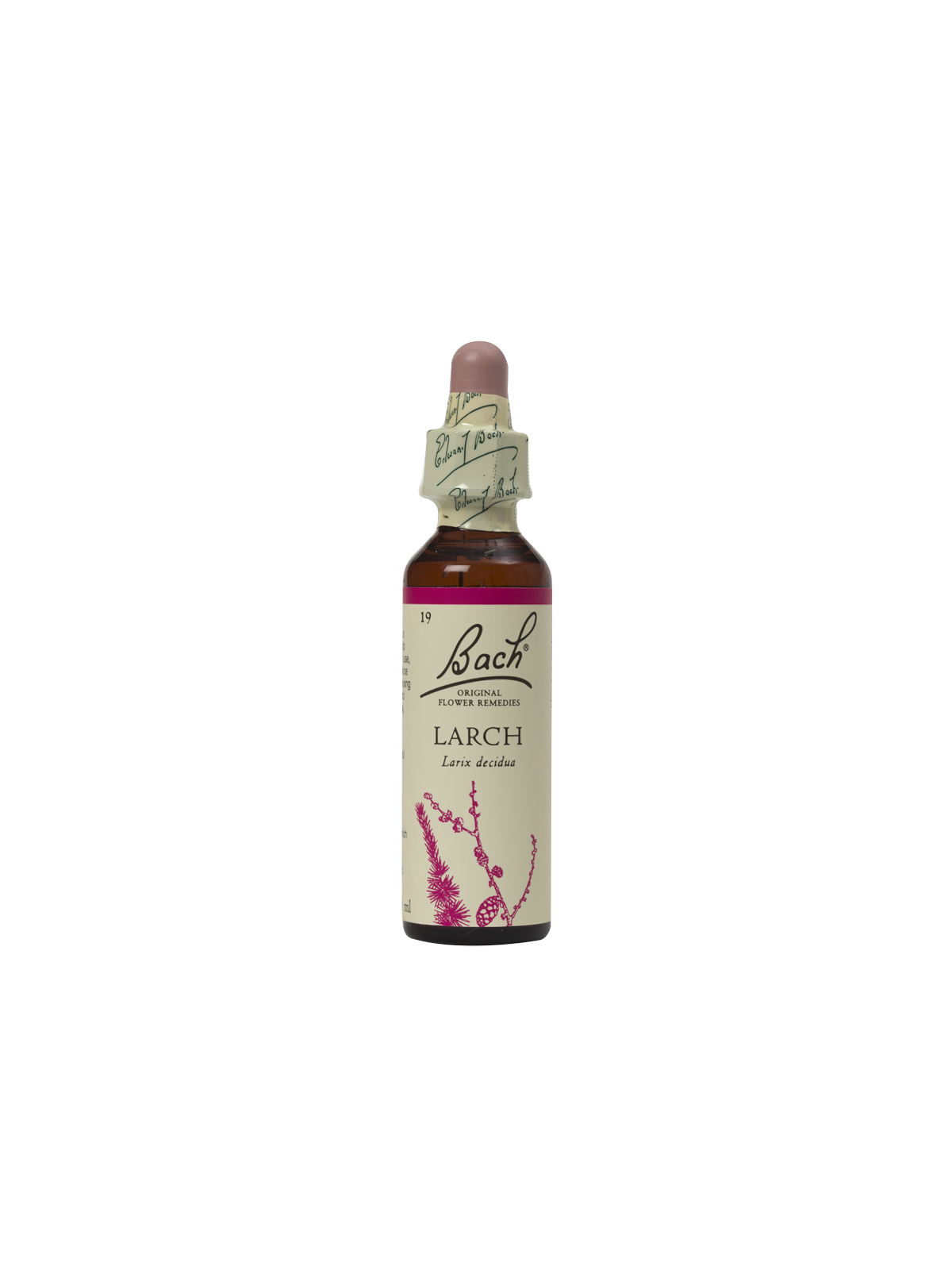 LARCH 20ML ORIGINAL BACH FLOWER REMEDY