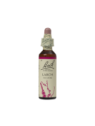 LARCH 20ML ORIGINAL BACH FLOWER REMEDY