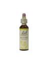 MUSTARD 20ML ORIGINAL BACH FLOWER REMEDY