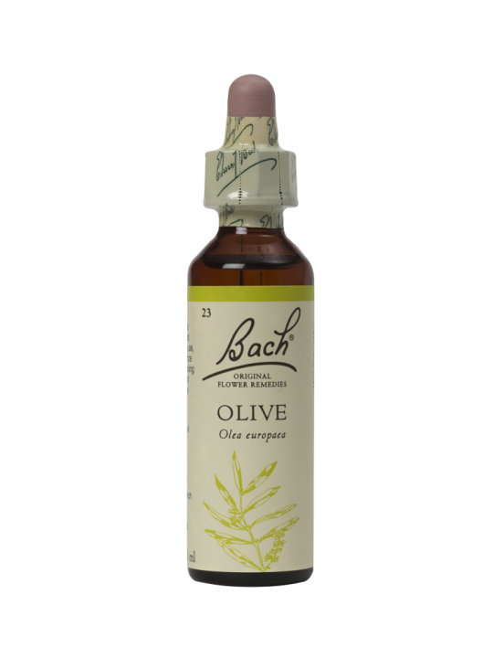 OLIVE 20ML ORIGINAL BACH FLOWER REMEDY