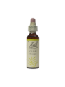 OLIVE 20ML ORIGINAL BACH FLOWER REMEDY